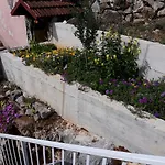 Rozalija Apartment