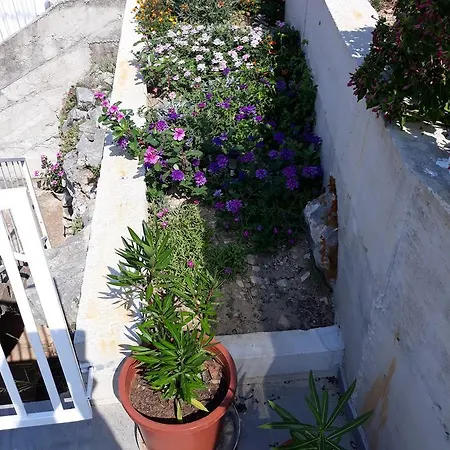 Rozalija Διαμέρισμα